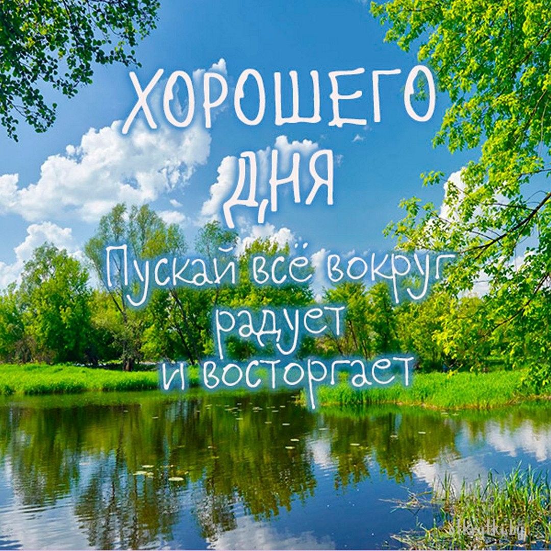 Открытка «Пожелание»: Хорошего дня! Открытка с природой и позитивом. Тэги: улыбка, красивая, позитив, радость, настро…