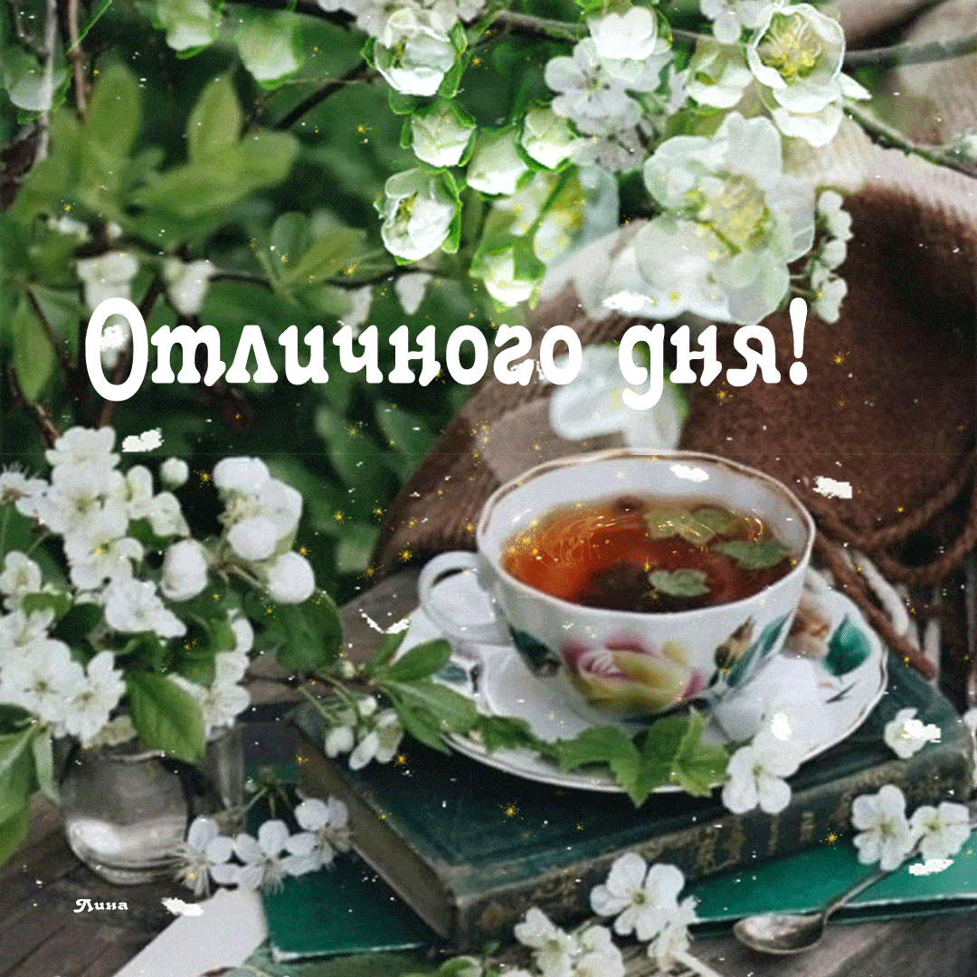 Открытка «Пожелание»: Отличного дня! Красивое пожелание с чаем. Тэги: утро, позитив, радость, цветок, чай, чашка…