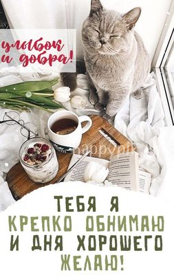 Открытка «Кот»: Улыбок и добра! Милый кот желает хорошего дня. Тэги: пожелание, улыбка, утро, позитив, очки, чашка…