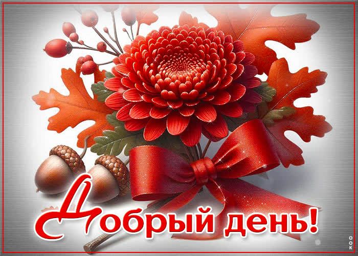 Открытка «Пожелание»: Добрый день! Красивый осенний цветок и пожелание. Тэги: улыбка, красивая, позитив, радость…
