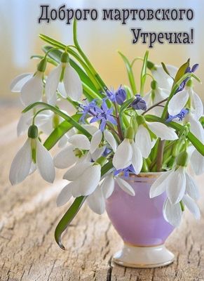 Открытка «Пожелание»: Доброго мартовского утречка! Весенние цветы. Тэги: утро, красивая, позитив, радость, цветок…