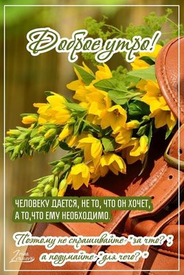 Открытка «Пожелание»: Доброе утро! Мудрое пожелание и позитив. Тэги: утро, красивая, позитив, цветок, настроение…