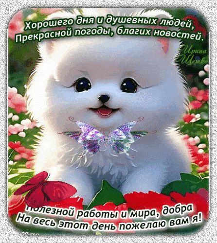 Открытка «Животное»: Милый щенок желает хорошего дня и позитива. Тэги: пожелание, улыбка, красивая, позитив, радость…