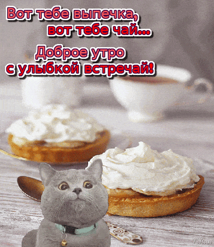 Открытка «Кот»: Доброе утро с улыбкой: милый кот и вкусный завтрак. Тэги: животное, пожелание, улыбка, утро, красивая…