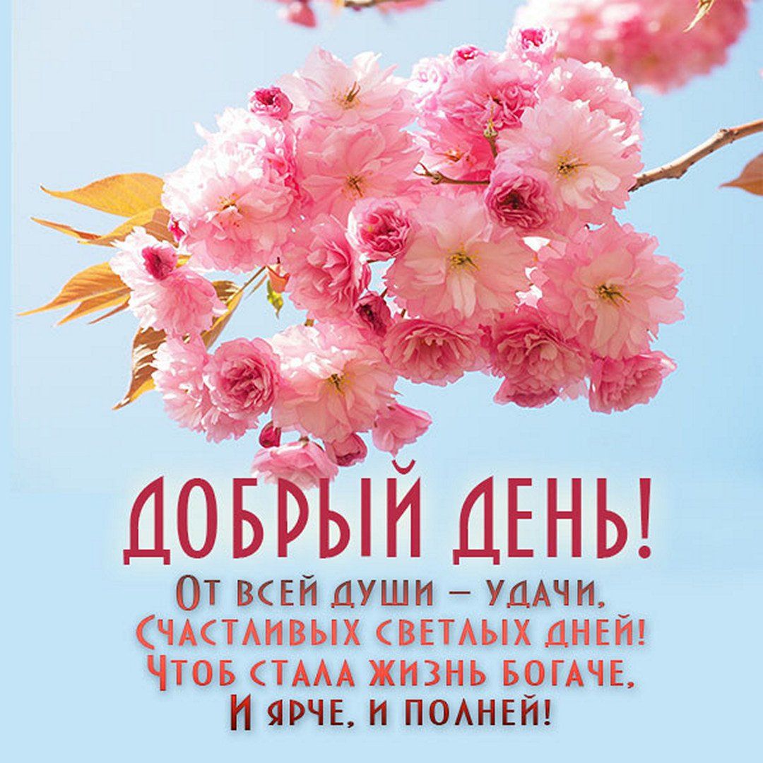 Открытка «Пожелание»: Добрый день! Красивая открытка с пожеланием удачи. Тэги: красивая, позитив, радость, добрый день…