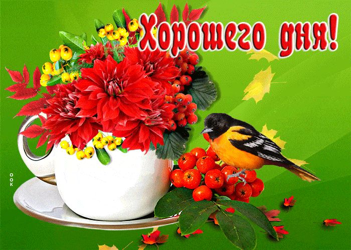 Открытка «Хорошего дня»: Пожелание Хорошего дня! Открытка с птицей и цветами. Тэги: животное, пожелание, улыбка…