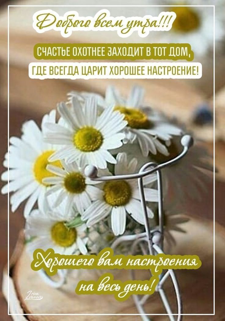 Открытка «Пожелание»: Открытка: Доброго утра, счастья и настроения!. Тэги: улыбка, утро, красивая, позитив, радость…