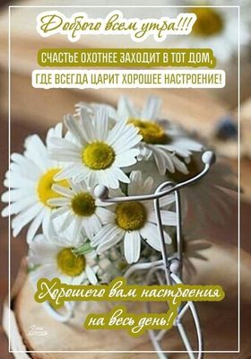 Открытка «Пожелание»: Открытка: Доброго утра, счастья и настроения!. Тэги: улыбка, утро, красивая, позитив, радость…