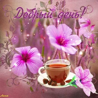 Открытка «Пожелание»: Добрый день! Нежная открытка с цветами и чаем. Тэги: улыбка, красивая, позитив, добрый день…