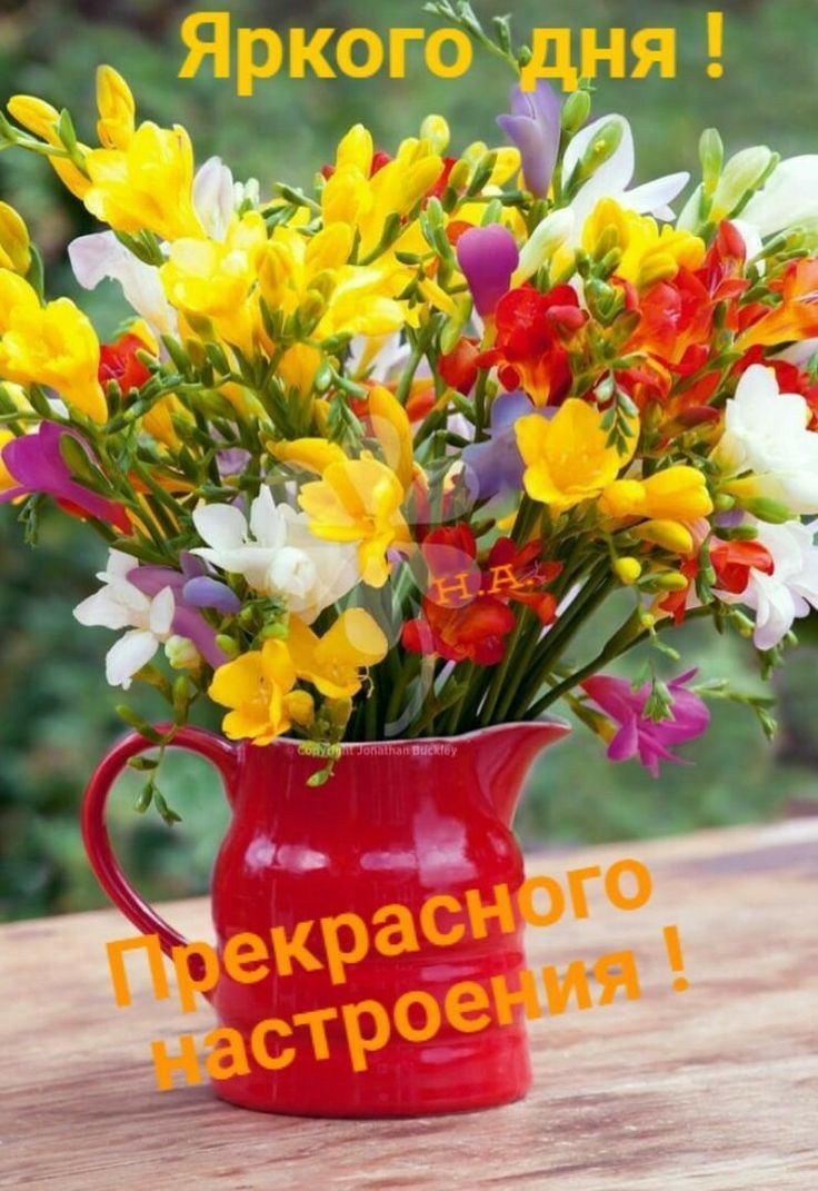 Открытка «Пожелание»: Букет цветов: Яркого дня и прекрасного настроения!. Тэги: улыбка, друг, подруга, мужчина…