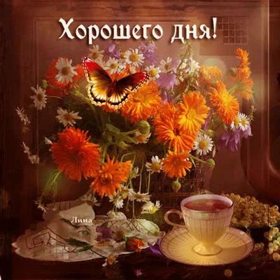 Открытка «Хорошего дня»: Хорошего дня! Позитив и радость в цветах. Тэги: пожелание, улыбка, красивая, позитив, радость…