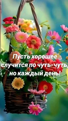 Открытка «Пожелание»: Яркие цветы: пусть хорошее случится каждый день!. Тэги: красивая, позитив, радость, цветок…