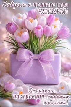 Открытка «Пожелание»: Нежное утро четверга: цветы для отличного настроения!. Тэги: красивая, позитив, радость, цветок…