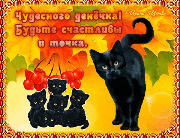 Открытка «Добрый день»: Чудесного денёчка! Счастья и позитива с котятами. Тэги: Добрый день и добрые пожелания…