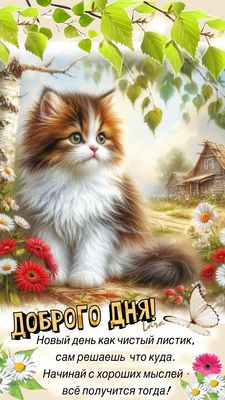 Открытка «Кот»: Доброго дня с пушистым котиком: позитив и счастье!. Тэги: животное, пожелание, улыбка, позитив…