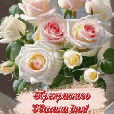 Открытка «Пожелание»: Открытка Прекрасного Начала дня! Нежные розы. Тэги: утро, женщина, девушка, красивая, позитив…