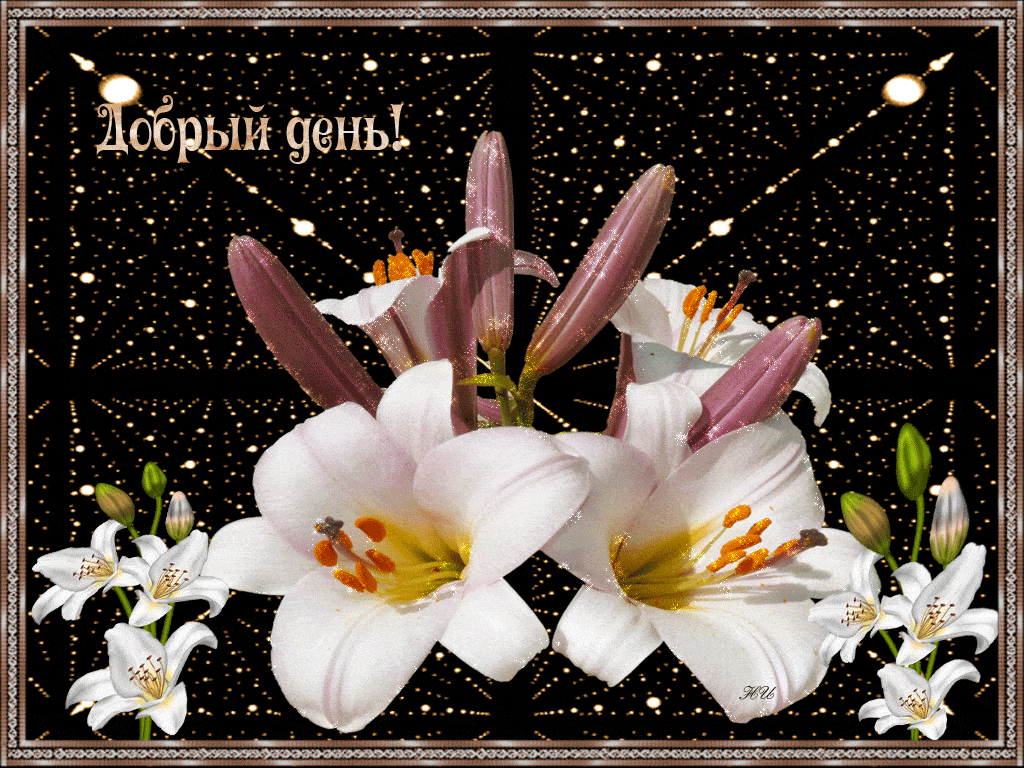 Открытка «Пожелание»: Нежная открытка Добрый день с букетом лилий. Тэги: улыбка, красивая, позитив, радость, добрый д…
