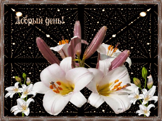 Открытка «Пожелание»: Нежная открытка Добрый день с букетом лилий. Тэги: улыбка, красивая, позитив, радость, добрый д…