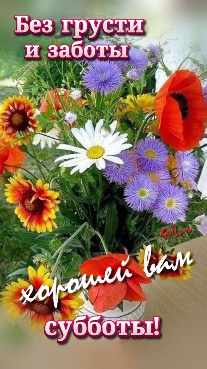 Открытка «Пожелание»: Хорошей субботы: позитив, яркое настроение. Тэги: улыбка, красивая, позитив, радость, цветок…