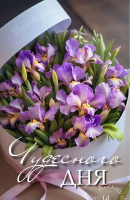 Открытка «Пожелание»: Чудесного дня! Красивый букет ирисов с пожеланием. Тэги: улыбка, подруга, женщина, красивая…