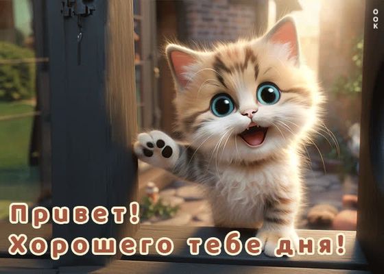 Открытка «Хорошего дня»: Хорошего дня! Милый кот с улыбкой приветствует. Тэги: кот, животное, пожелание, прикольная…
