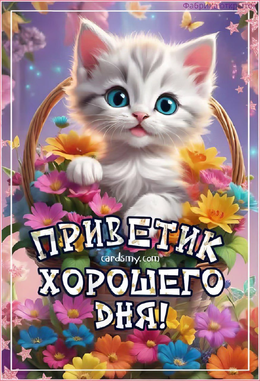 Открытка «Кот»: Приветик! Хорошего дня! Открытка с милым котом. Тэги: животное, пожелание, улыбка, красивая, позитив…