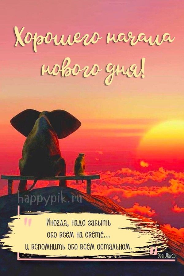 Открытка «Животное»: Хорошего начала нового дня! Позитив и пожелание. Тэги: пожелание, утро, позитив, настроение…