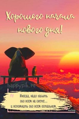 Открытка «Животное»: Хорошего начала нового дня! Позитив и пожелание. Тэги: пожелание, утро, позитив, настроение…