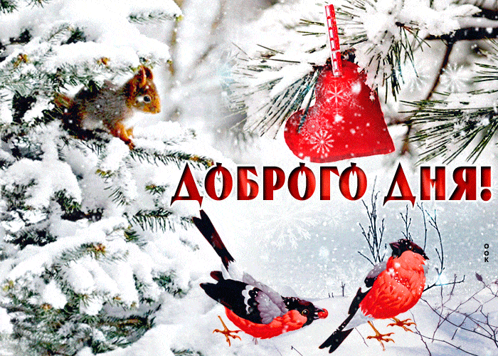 Открытка «Животное»: Доброго дня! Позитив и красота зимнего дня. Тэги: пожелание, красивая, позитив, радость, добрый…