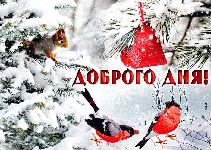 Открытка «Животное»: Доброго дня! Позитив и красота зимнего дня. Тэги: пожелание, красивая, позитив, радость, добрый…