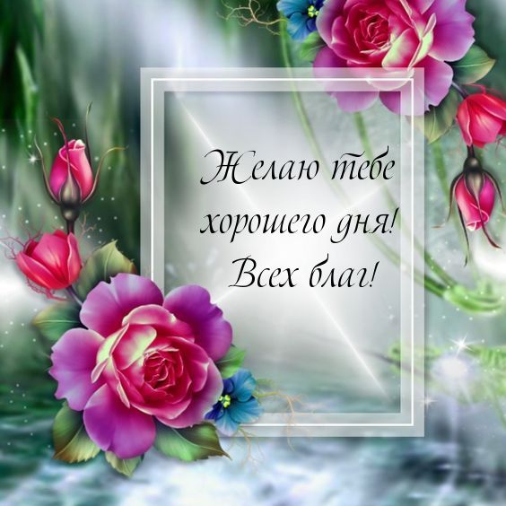 Открытка «Пожелание»: Красивая открытка: Желаю хорошего дня и всех благ!. Тэги: друг, подруга, мужчина, женщина…