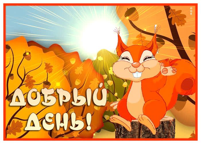 Открытка «Животное»: Добрый день! Позитивная осенняя открытка с белкой. Тэги: прикольная, улыбка, красивая, позитив…