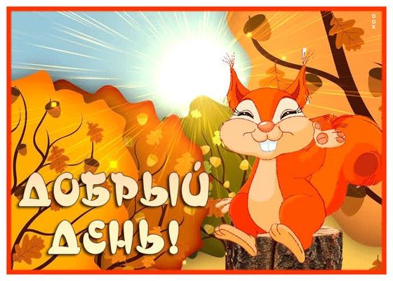Открытка «Животное»: Добрый день! Позитивная осенняя открытка с белкой. Тэги: прикольная, улыбка, красивая, позитив…