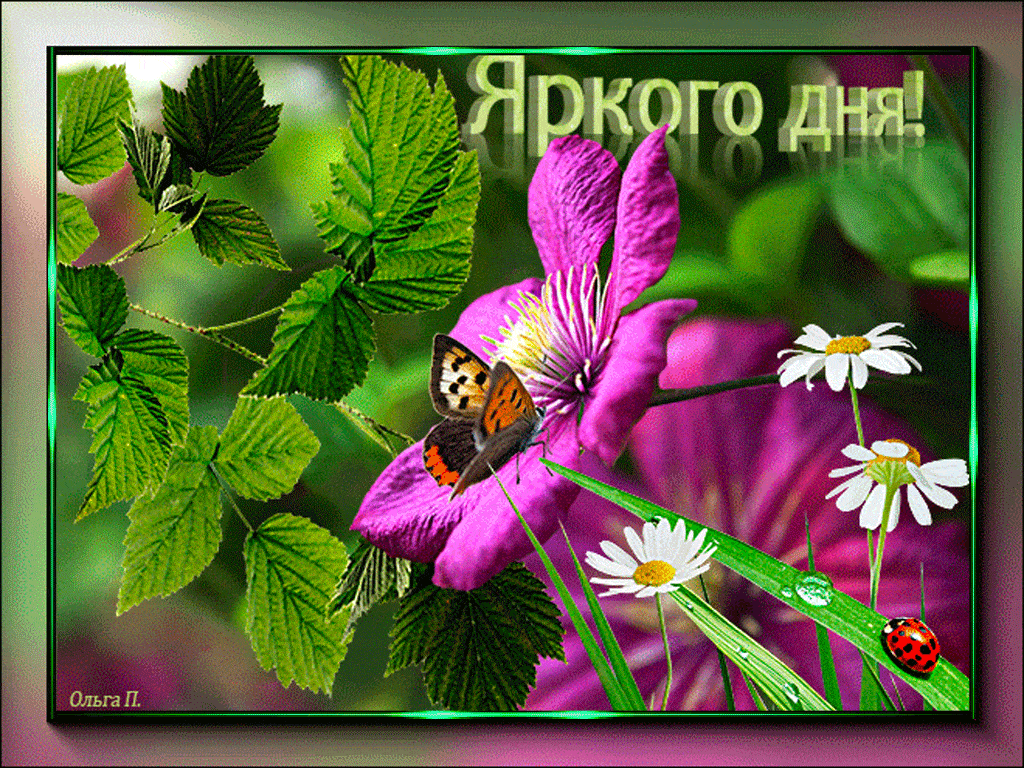 Открытка «Животное»: Яркого дня! Позитивная открытка с цветами. Тэги: пожелание, позитив, радость, цветок, настроение…