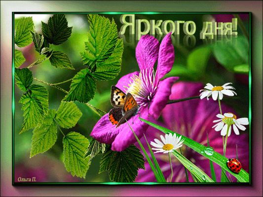 Открытка «Животное»: Яркого дня! Позитивная открытка с цветами. Тэги: пожелание, позитив, радость, цветок, настроение…