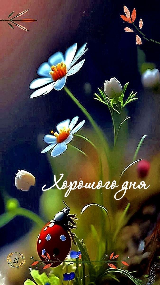 Открытка «Животное»: Открытка Хорошего дня: цветы, божья коровка, позитив. Тэги: пожелание, улыбка, красивая, позитив…