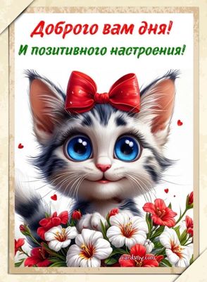 Открытка «Кот»: Доброго дня! Позитивное настроение с милым котенком. Тэги: животное, пожелание, улыбка, красивая…