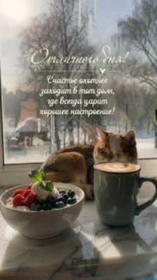 Открытка «С добрым утром»: Отличного дня: уют, кот и хорошее настроение. Тэги: С добрым утром, для поднятия настроени…