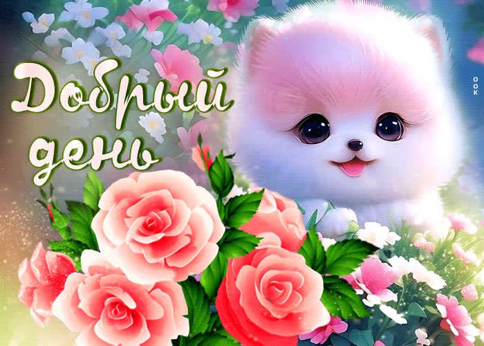 Открытка «Животное»: Добрый день! Милый щенок и яркие розы для настроения. Тэги: пожелание, улыбка, красивая, позитив…