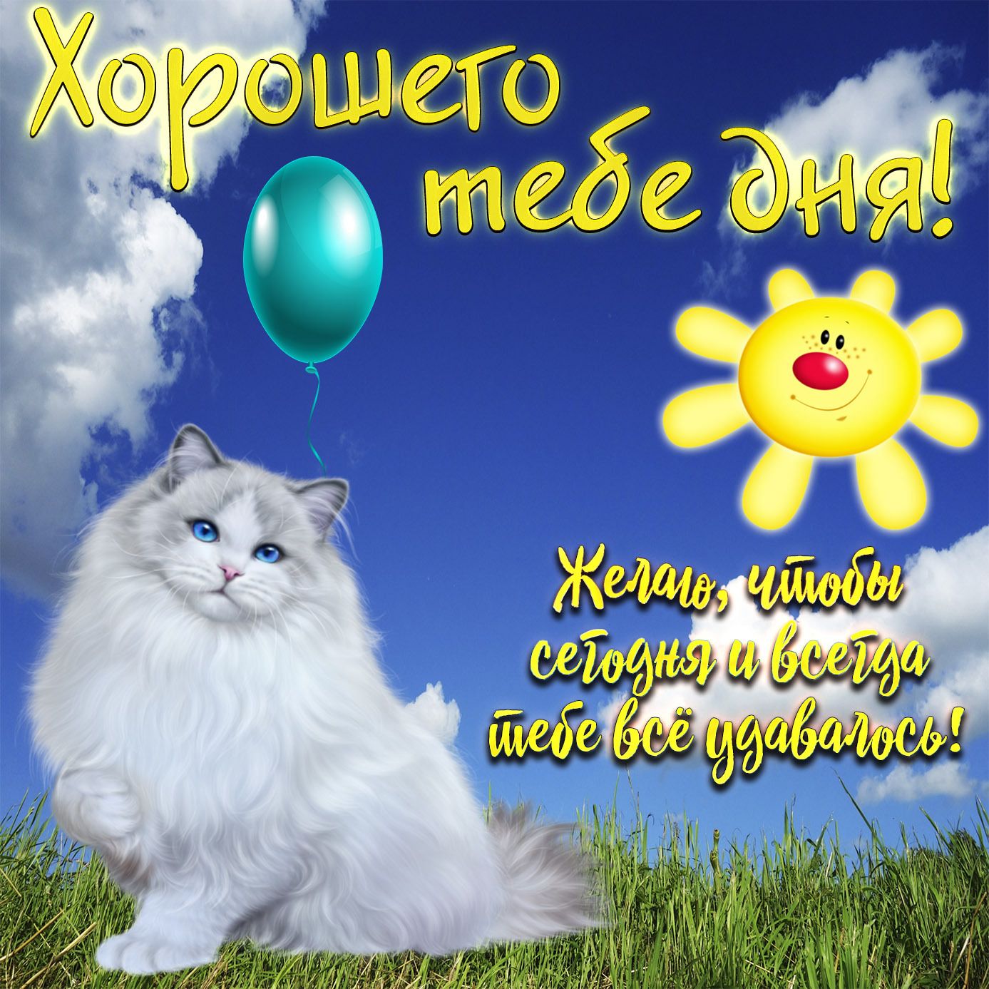 Открытка «Кот»: Хорошего дня! Открытка с позитивным пожеланием и котом. Тэги: животное, пожелание, улыбка, красивая…