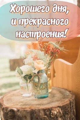Открытка «Пожелание»: Хорошего дня и настроения! Красивая открытка. Тэги: улыбка, друг, подруга, женщина, красивая…