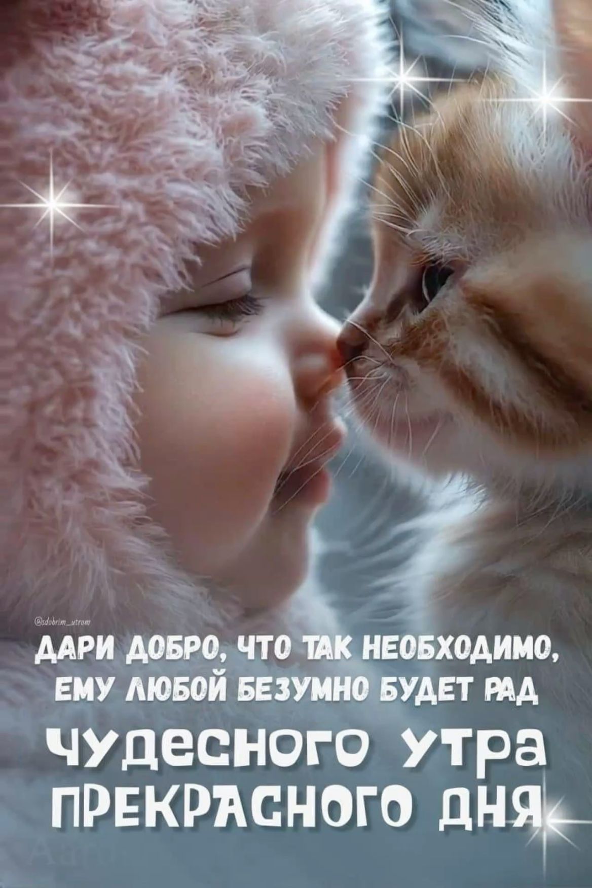 Открытка «Кот»: Чудесного утра и дня: милый ребенок и котенок. Тэги: животное, пожелание, улыбка, утро, красивая…