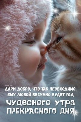 Открытка «Кот»: Чудесного утра и дня: милый ребенок и котенок. Тэги: животное, пожелание, улыбка, утро, красивая…