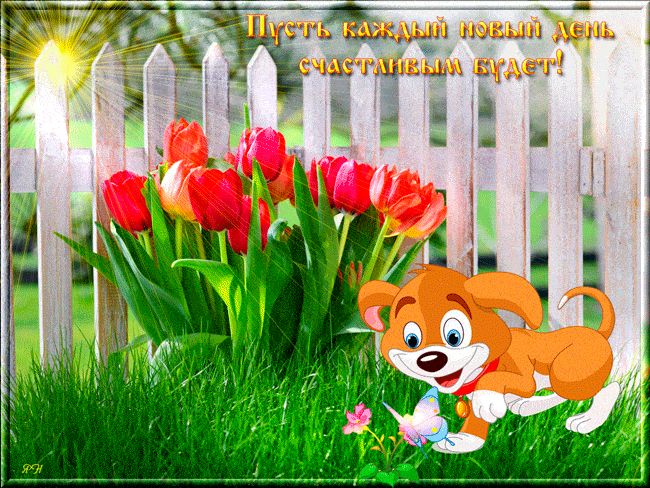 Открытка «Животное»: Позитивное пожелание: Пусть день будет счастливым!. Тэги: пожелание, улыбка, красивая, позитив…