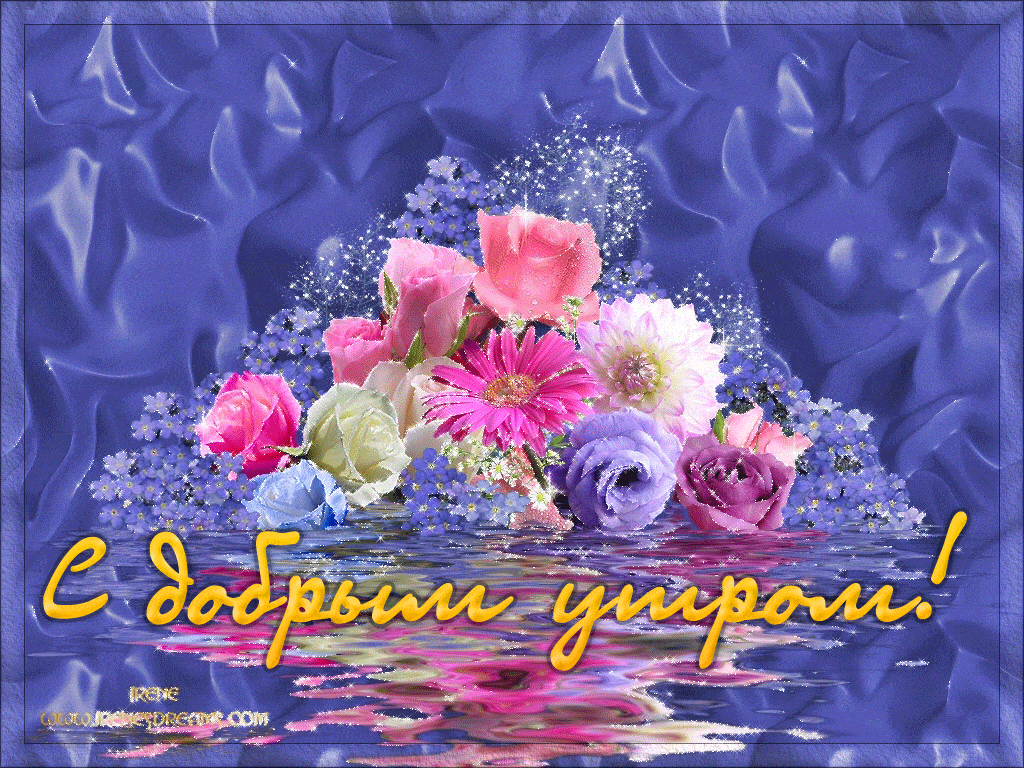 Открытка «Пожелание»: С добрым утром! Красивая открытка с цветами. Тэги: улыбка, утро, красивая, позитив, радость…