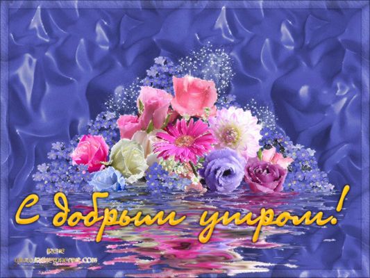 Открытка «Пожелание»: С добрым утром! Красивая открытка с цветами. Тэги: улыбка, утро, красивая, позитив, радость…