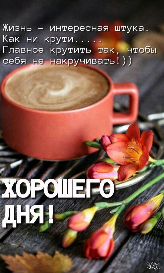 Открытка «Пожелание»: Хорошего дня: Жизнь, кофе и цветы для настроения. Тэги: красивая, кофе, позитив, радость, цветок…