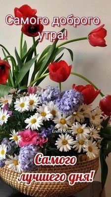 Открытка «Пожелание»: Доброе утро и лучшего дня с весенним букетом. Тэги: улыбка, красивая, позитив, радость, цветок…