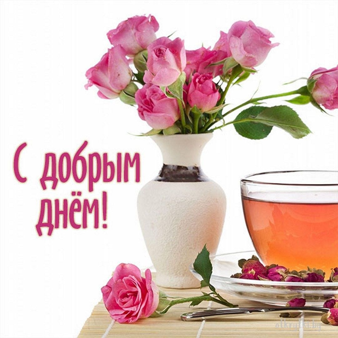 Открытка «Пожелание»: С добрым днем! Нежная роза и уютное пожелание. Тэги: улыбка, красивая, позитив, радость, цветок…