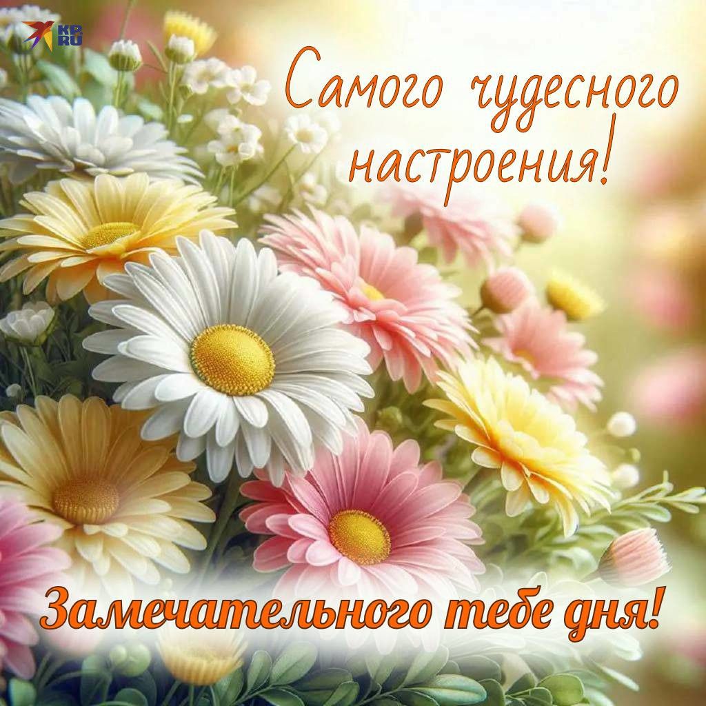 Открытка «Пожелание»: Чудесное настроение и замечательный день!. Тэги: улыбка, красивая, позитив, радость, цветок…